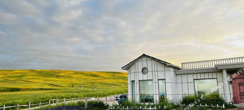 青海湖混序白房子民宿图片