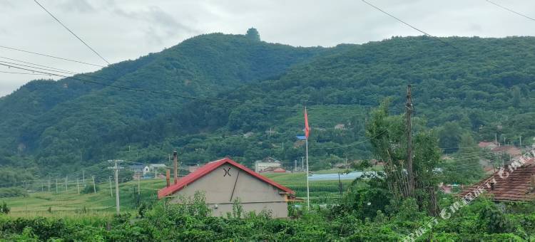 志阳农家院图片