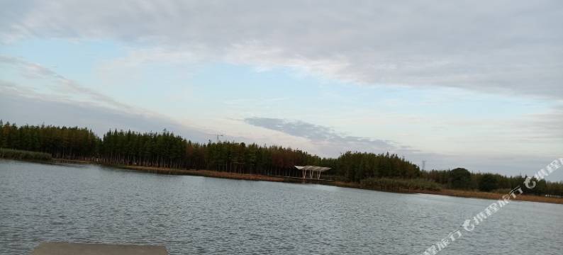 时肖民宿(力高雍湖国际鱼尾州地铁站店)图片