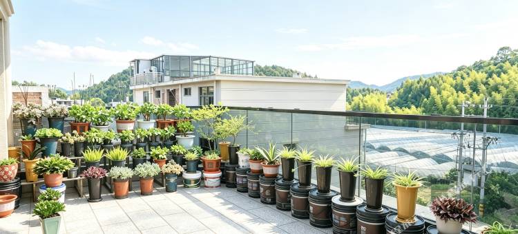 君庭雅居·山景·旅居民宿(鲤鱼溪风景区店)图片