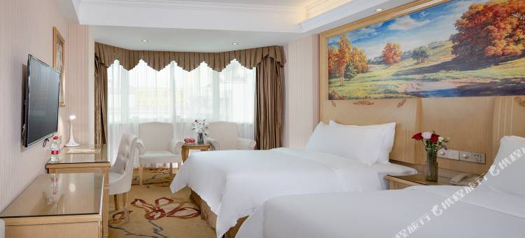 维也纳酒店(惠州江北火车站店)图片