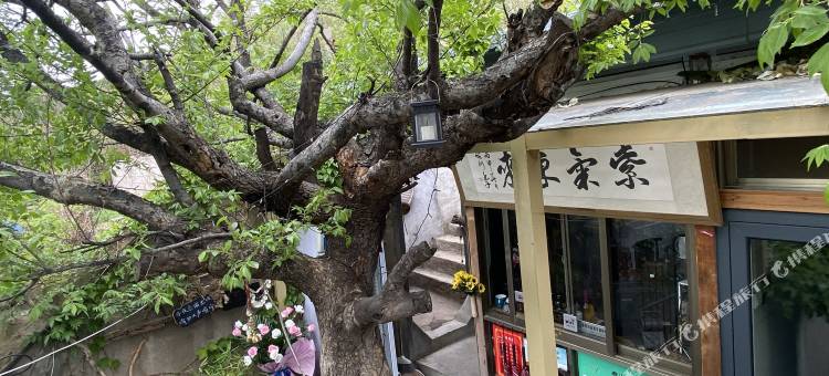 泰安紫气东来客栈(泰山红门店)图片