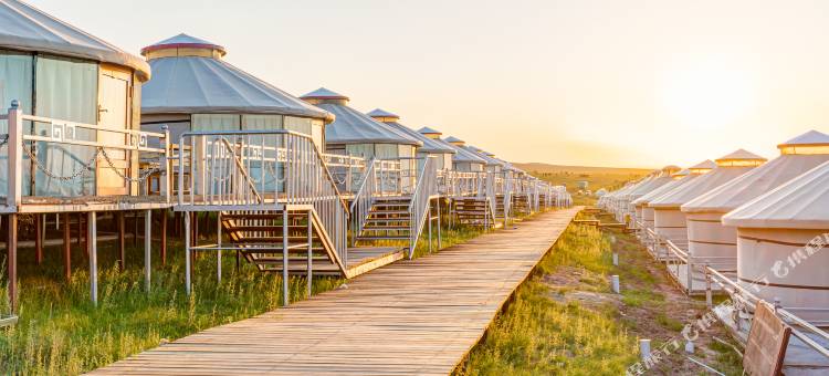 呼伦贝尔陈巴尔虎旗白音盟古乐蒙古包营地图片