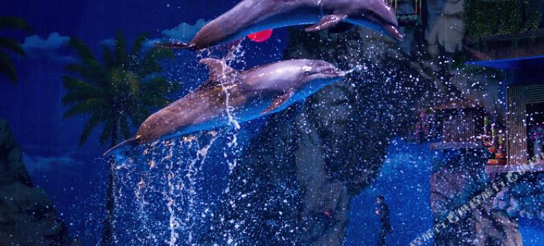 泽客山居(昆明融创滇池后海店)图片