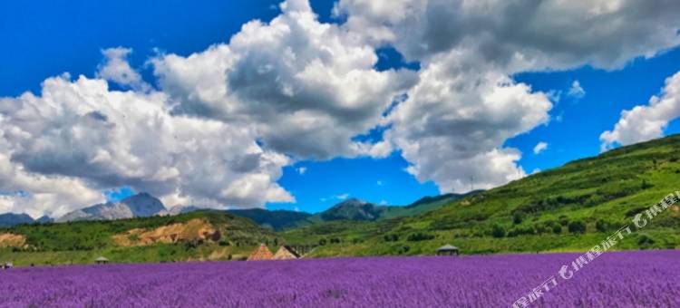 松潘格桑梅朵酒店图片