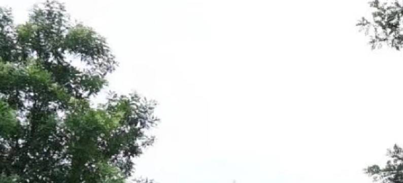 平泉新华旅馆图片