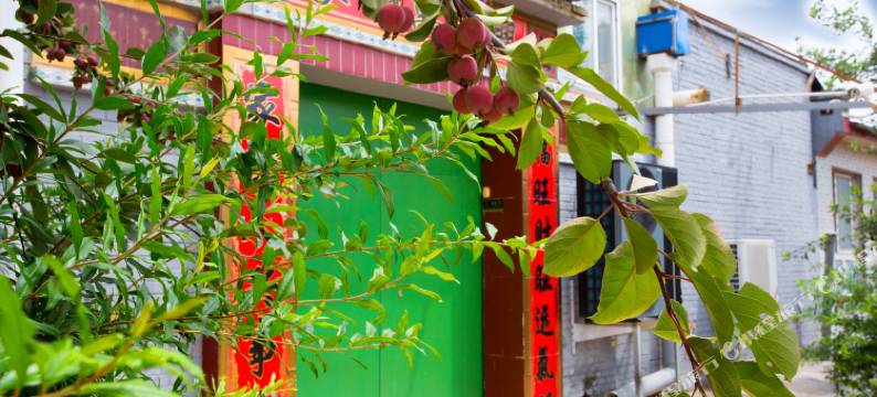 北京温暖小院(大兴国际机场店)图片