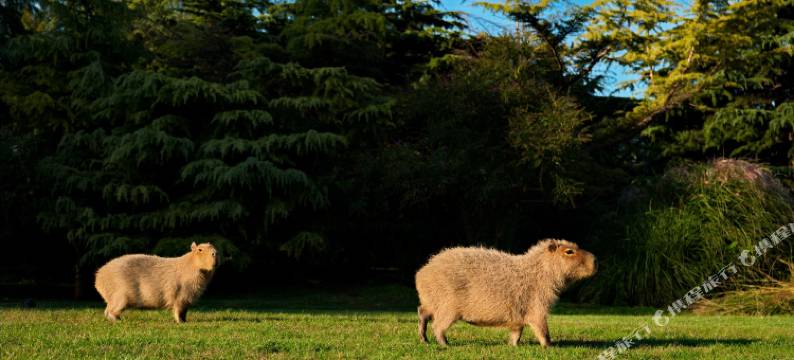 北京在之禾酒店图片
