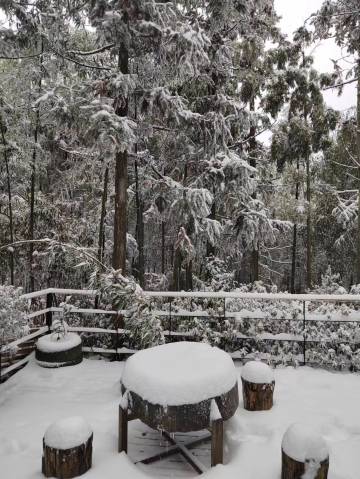 归林GuiLin·星墅民宿(安吉江南天池店)图片