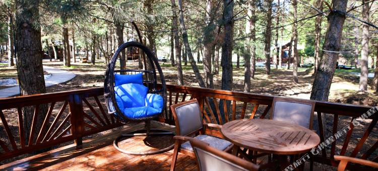 携程度假农庄(那拉提森林公园联营店)图片