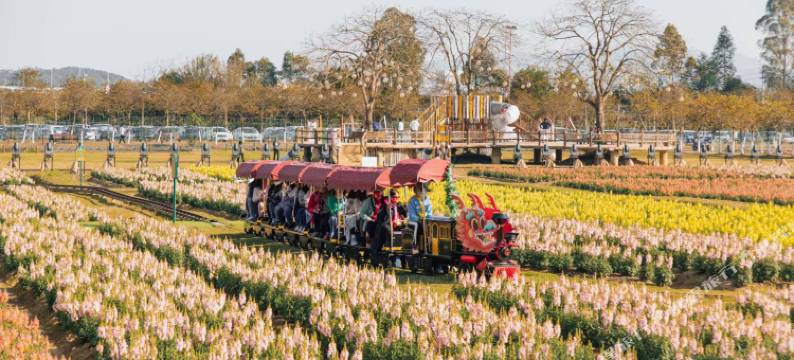 佛山高明鹭栖台酒店(盈香心动乐园店)图片