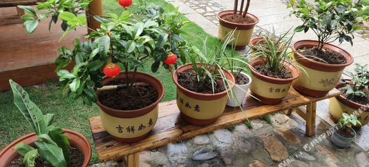 桃缘居民宿(桃花潭风景区店)图片