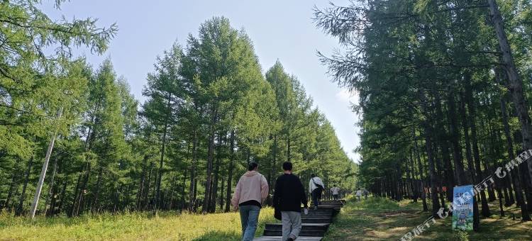 龙岩山水情缘民宿图片