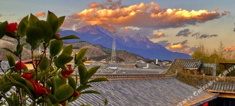 山海十年星空花园美宿·溪苑·雪山观景院(束河古镇店)图片