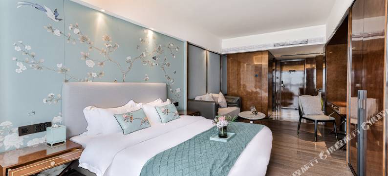 广州珠江新城丽舍国际公寓图片