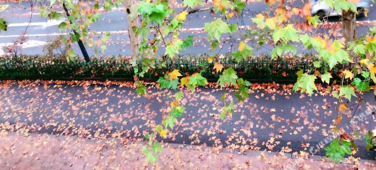 汉庭优佳酒店(杭州西湖断桥店)图片