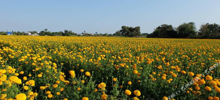 阿莫恩苏霍泰酒店(AmornSukhothai Hotel)图片