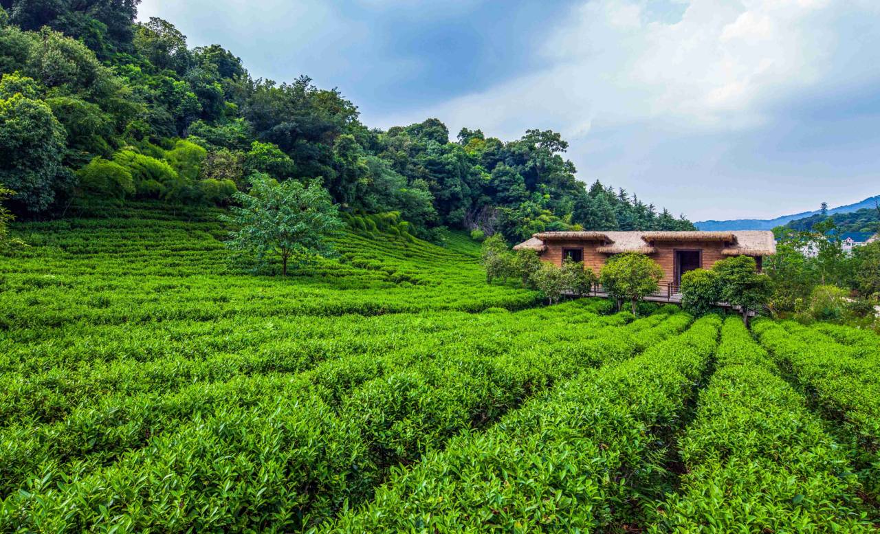 杭州开元森泊度假酒店图片