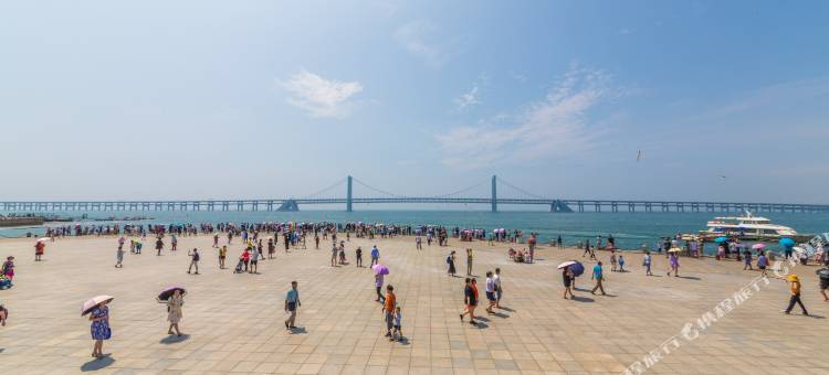 大连星海之恋公寓(星海广场店)图片