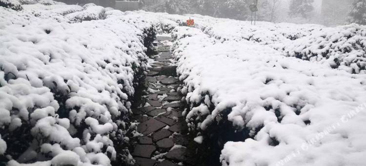 雅安蒙盛山庄图片