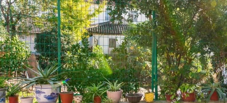 上海小小周民宿图片