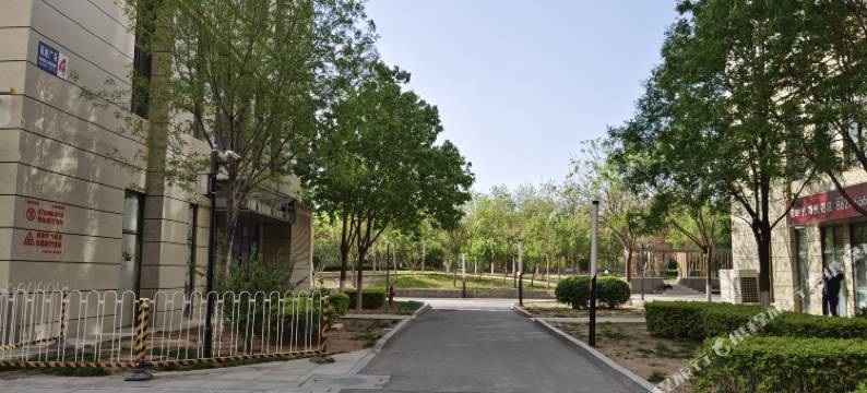 松果空间民宿(天津诺德店)图片