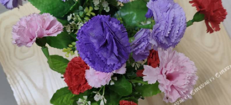 广州越秀区凯旋公寓火车站店图片