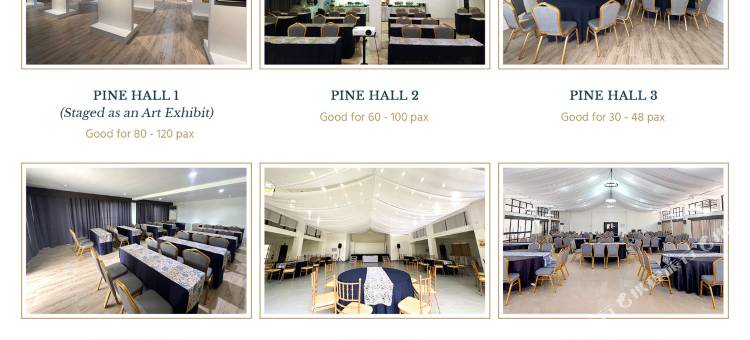怀特伍德会议和休闲酒店(Whitewoods Convention and Leisure Hotel by SMS Hospitality)图片