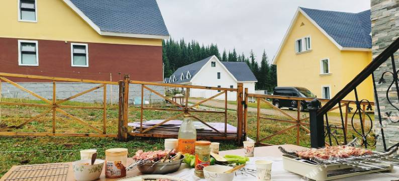 喀纳斯一朵莲酒店图片