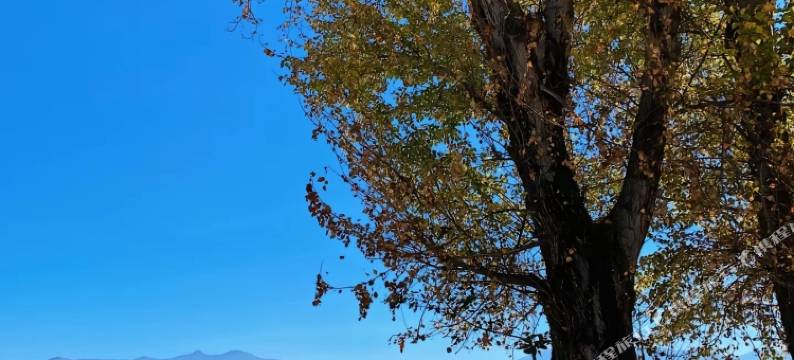 大理随意宅·观山休闲民宿(祟圣寺三塔店)图片