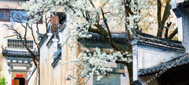 素朴·汀泉民宿(婺源篁岭店)图片