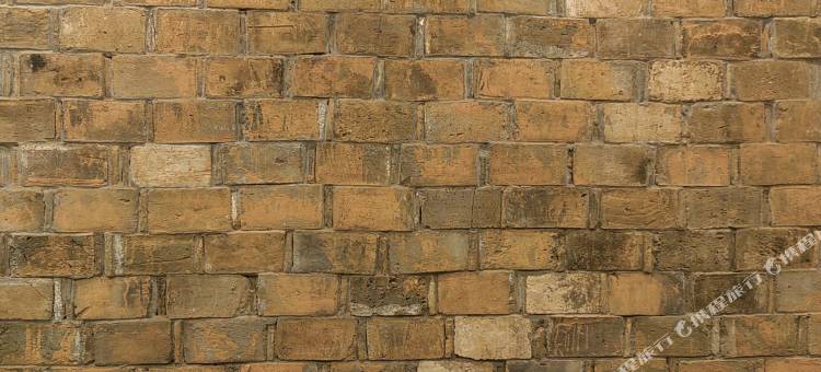 归园山舍民宿图片