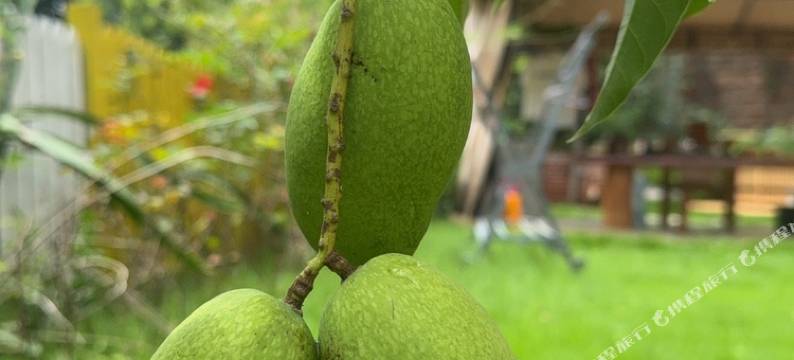 弥勒澜泉逸墅民宿(湖泉生态园店)图片