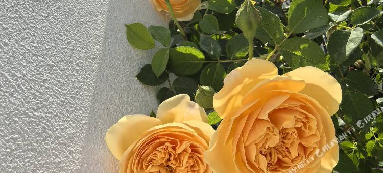 宁陕溪畔居民宿图片