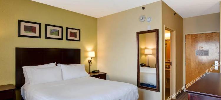 波士顿智选假日酒店(Holiday Inn Express Boston)图片