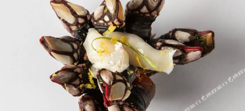 科鲁尼亚菲斯特雷NH典藏酒店(NH Collection Finisterre)图片