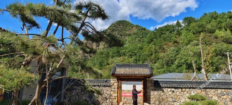 兴隆森林乡居图片