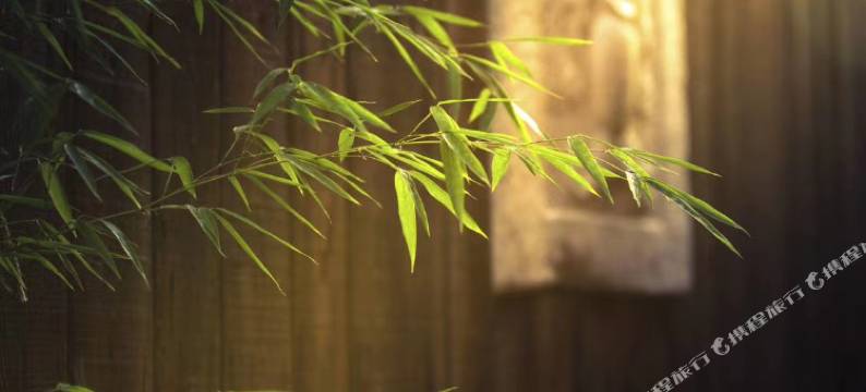 北京莲石山房民宿图片