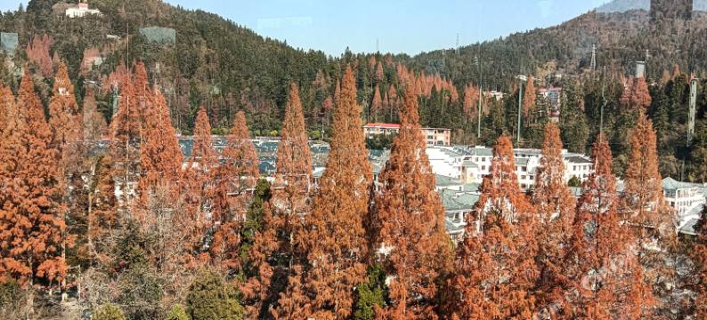 井冈山长城宾馆(井冈山汽车站店)图片