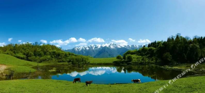 舟曲光彩丽锦园大酒店图片