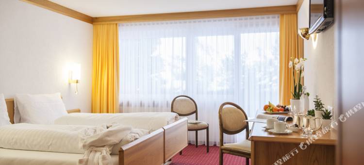 斯特木普斯艾尔鹏罗斯酒店(Hotel Stump's Alpenrose)图片