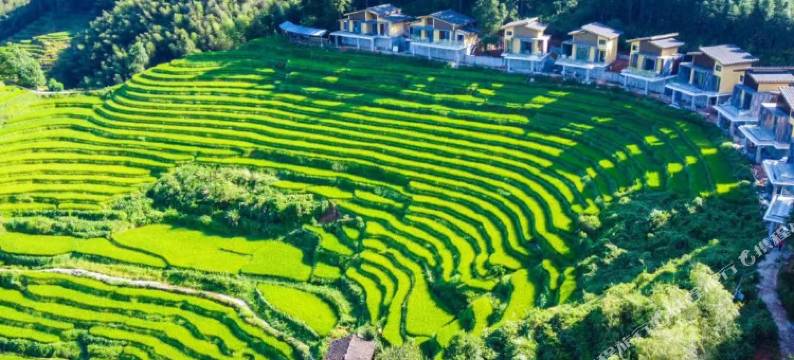 崇义木梓排民宿图片