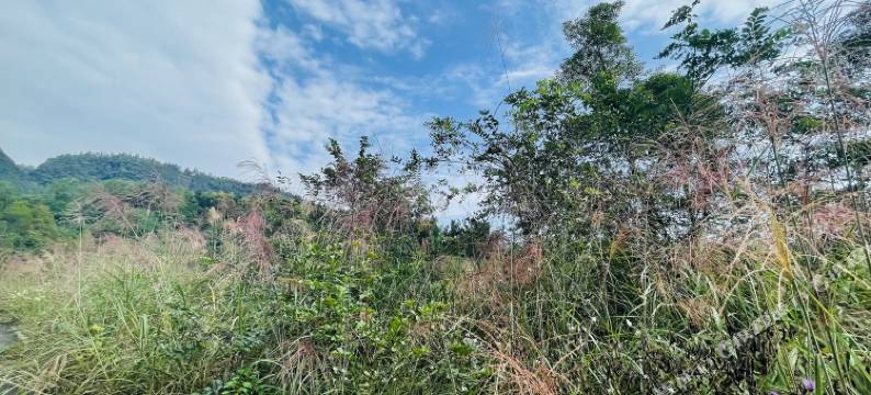 花水湾祢尚祢雅别墅图片