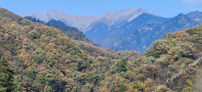 太白鑫旭民宿图片