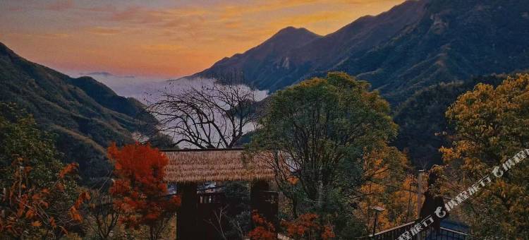 隐川居·安吉峡谷view泳池溯溪度假酒店图片