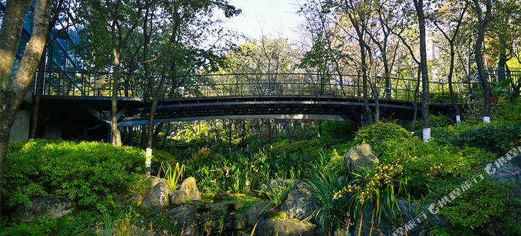 理想三旬民宿(大理古城南门店)图片