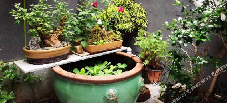 易之间民宿(开封万岁山武侠城店)图片