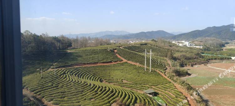 黄山清风楼酒店图片
