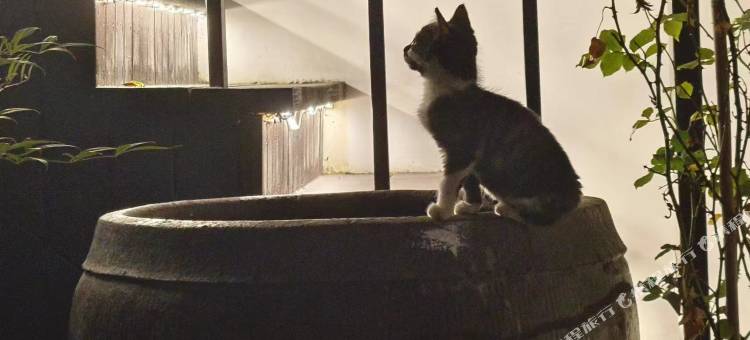 花筑·如你所院·屋顶咖啡·古越水乡院落(鲁迅故里书圣故里店)图片