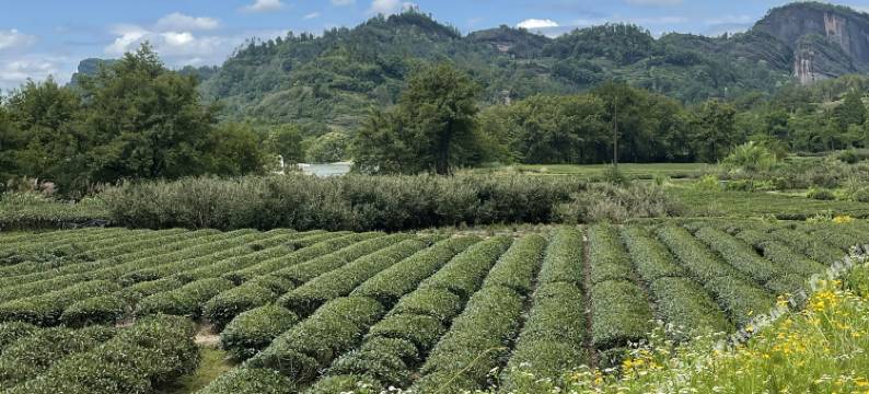 四喜屋民宿(三姑度假区店)图片